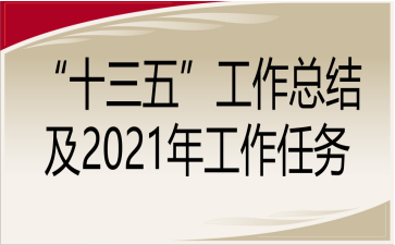 “十三五”工作总结及2021年工作任务