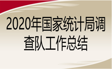 2020年国家统计局调查队工作总结