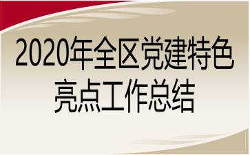 2020年全区党建特色亮点工作总结