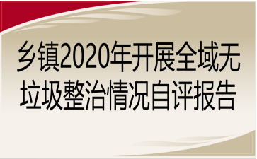 乡镇2020年开展全域无垃圾整治情况自评报告
