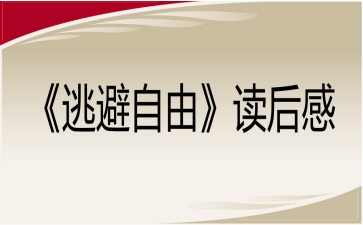 《逃避自由》读后感