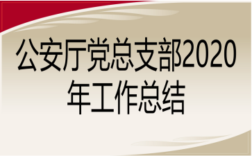 公安厅党总支部2020年工作总结