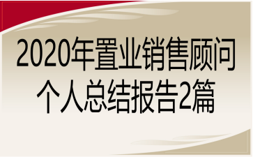 2020年置业销售顾问个人总结报告2篇