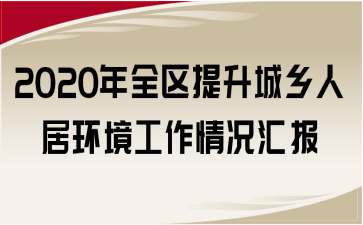 2020年全区提升城乡人居环境工作情况汇报
