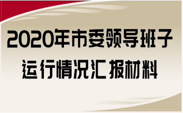 2020年市委领导班子运行情况汇报材料