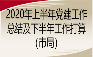 2020年上半年党建工作总结及下半年工作打算（市局）