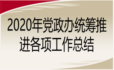 2020年党政办统筹推进各项工作总结