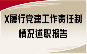 X履行党建工作责任制情况述职报告