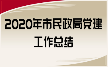 2020年市民政局党建工作总结