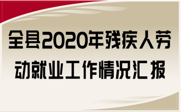 ȫ2020мͶҵ㱨