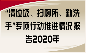 “清垃圾、扫厕所、勤洗手”专项行动推进情况报告2020年