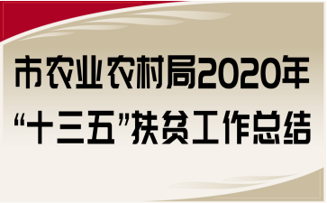 ũҵũ2020ꡰʮ塱ƶܽ