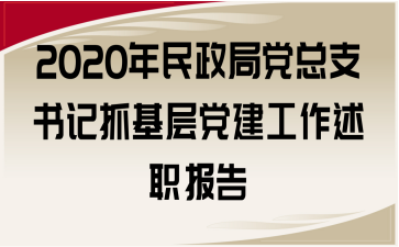 2020年民政局党总支书记抓基层党建工作述职报告