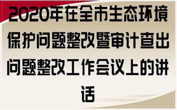 2020年在全市生态环境保护问题整改暨审计查出问题整改工作会议上的讲话