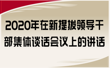 2020年在新提拔领导干部集体谈话会议上的讲话