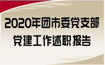 2020年团市委党支部党建工作述职报告