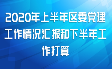 2020年上半年区委党建工作情况汇报和下半年工作打算