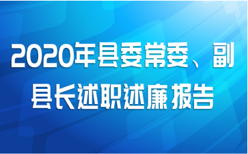 2020年县委常委、副县长述职述廉报告