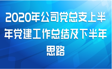 2020깫˾֧ϰ굳ܽἰ°˼·