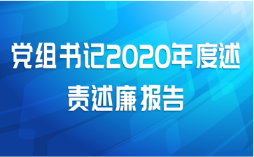 党组书记2020年度述责述廉报告