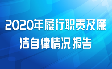 2020年履行职责及廉洁自律情况报告
