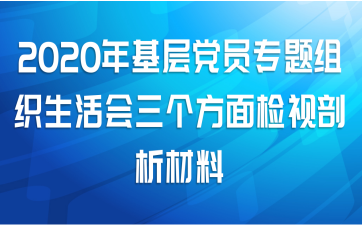 2020年基层党员专题组织生活会三个方面检视剖析材料