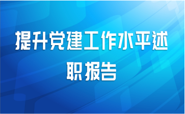 提升党建工作水平述职报告