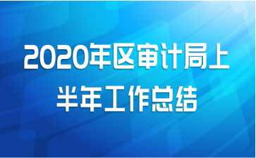 2020年区审计局上半年工作总结