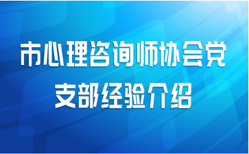 市心理咨询师协会党支部经验介绍