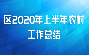 2020ϰũ幤ܽ