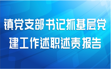 镇党支部书记抓基层党建工作述职述责报告