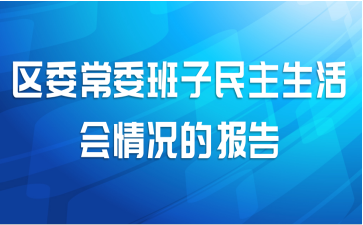 区委常委班子民主生活会情况的报告