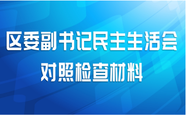 区委副书记民主生活会对照检查材料