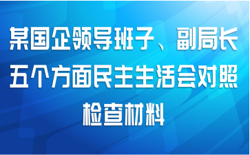 某国企领导班子、副局长五个方面民主生活会对照检查材料