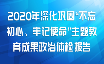 2020年深化巩固“不忘初心、牢记使命”主题教育成果政治体检报告