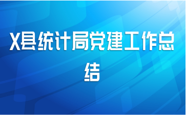 X县统计局党建工作总结