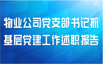 物业公司党支部书记抓基层党建工作述职报告
