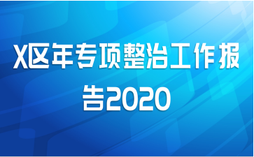 X区年专项整治工作报告2020