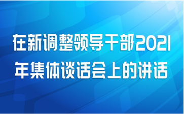 在新调整领导干部2021年集体谈话会上的讲话