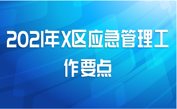 2021年X区应急管理工作要点