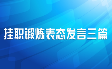 挂职锻炼表态发言三篇