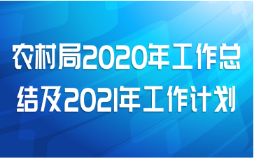 ũ2020깤ܽἰ2021깤ƻ