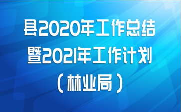 2020깤ܽ2021깤ƻҵ֣