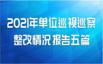 2021年单位巡视巡察整改情况报告五篇