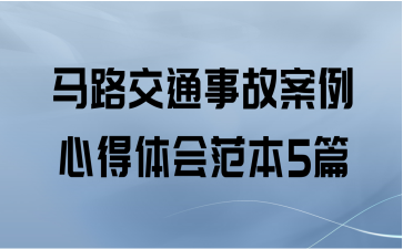 马路交通事故案例心得体会范本5篇