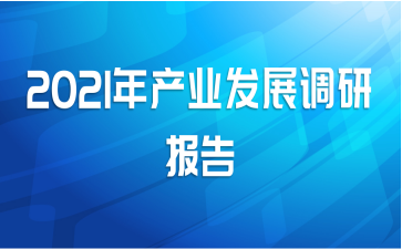 2021年产业发展调研报告