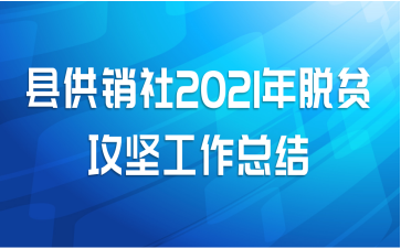 县供销社2021年脱贫攻坚工作总结