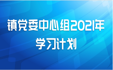 镇党委中心组2021年学习计划