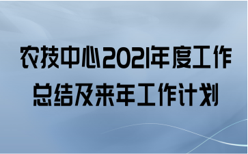 ũ2021ȹܽἰ깤ƻ