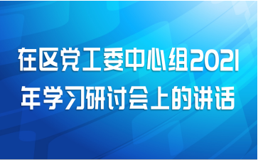 在区党工委中心组2021年学习研讨会上的讲话